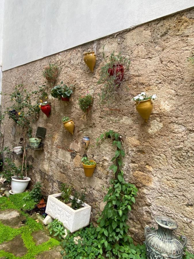 Villa Rosa Béziers Exterior foto